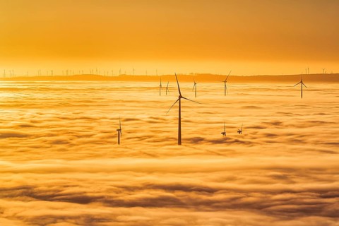 Wind turbines rising from cloud cover