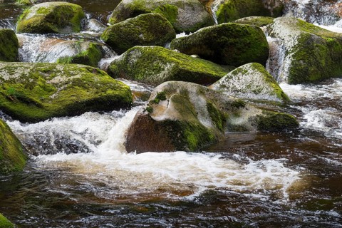 River flowing over stones