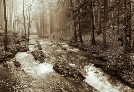 Zellerache flows through autumn forest in morning mist