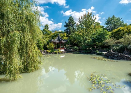 Garden with pond