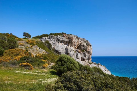 Spring in Crete