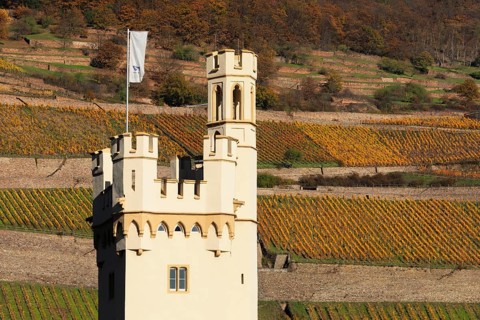 Maeuseturm