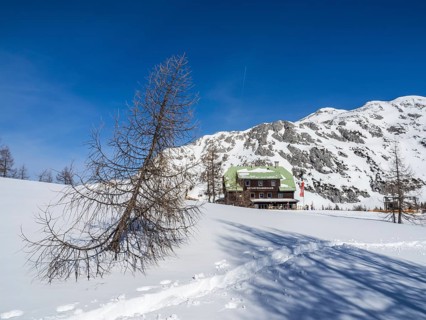 Blue sky over winter landscape