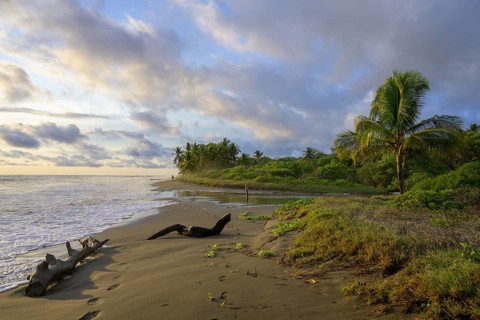 Evening atmosphere on the beach