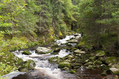 River flowing over stones