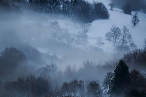 Fog lying in the forest in a valley