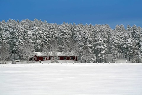 Frozen