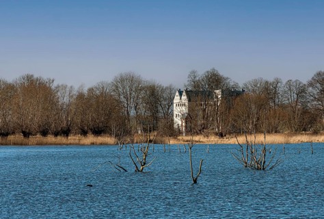 Nature reserve at the Mellnitz Ueselitzer Wiek on Ruegen