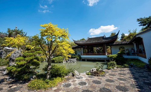 Garden with pond