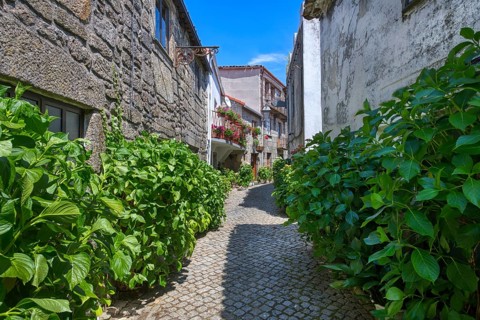 Narrow cobble street with flowers and old stone houses