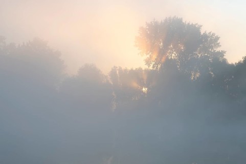 Morning fog and sunrise in the nature reserve Herbslebener Teiche