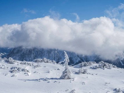 Blue sky over winter landscape