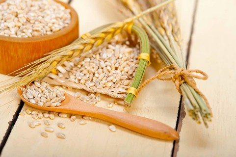 Organic barley grains over rustic wood table macro closeup