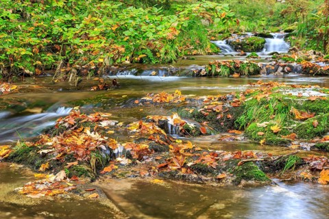 Allerheiligen Waterfalls