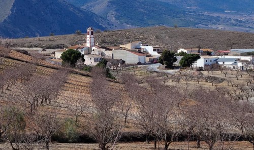 Village Cantal in the middle of almond orchards