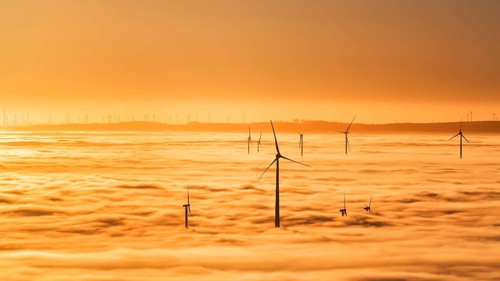 Wind turbines rising from cloud cover