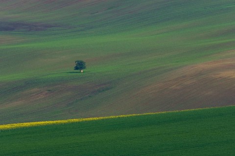 Beautiful and colorful abstract landscape