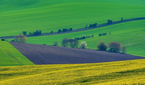 Beautiful and colorful abstract landscape