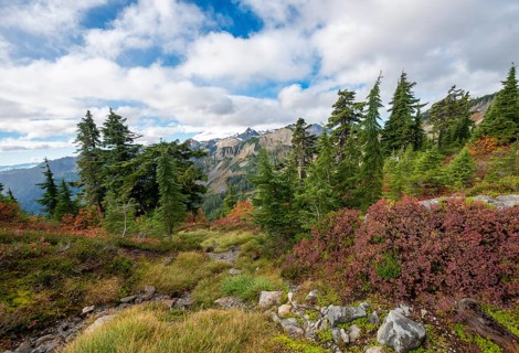 Mountain landscape in autumn