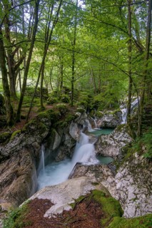 Watercourse of the Lepenjica