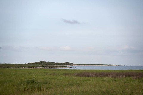 Kalfamer Bird Sanctuary