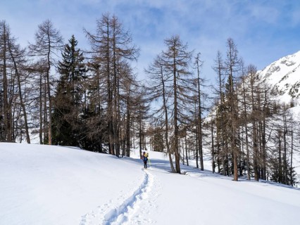 Snowshoe hiker in winter landscape