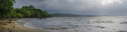 Bay with palm trees