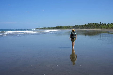 Beach walk