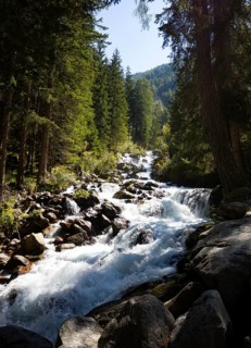 Horlachbach below the Stuibenfall near Umhausen