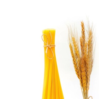 Organic Raw italian pasta and durum wheat grains crop