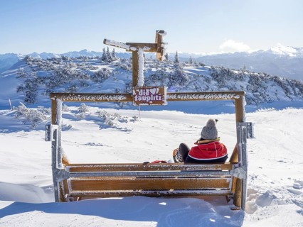 Tourist enjoying the view of snow-covered peaks from the mountain station at Lawinenstein