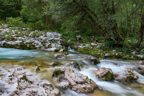 Watercourse of the Lepenjica