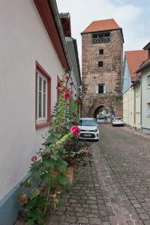 Martinstor