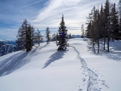 Tracks of snowshoes in winter landscape