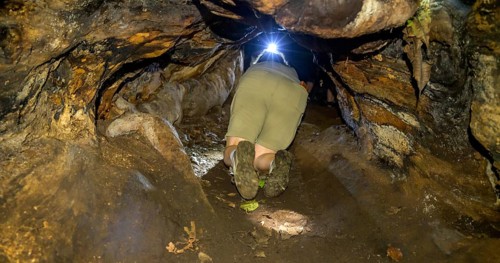 Woman crawling along a hollow tree root