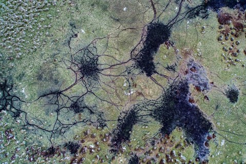 Aerial view of the Goldenstedt Moor