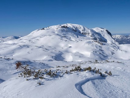 Winter landscape