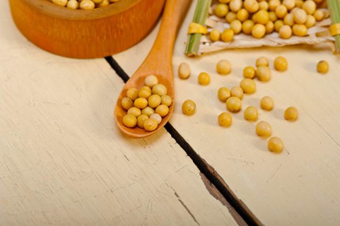 Organic soya beans over rustic wood table macro closeup