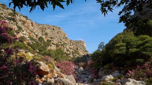 Spring in Crete
