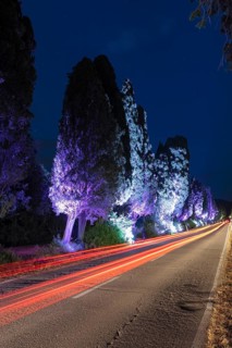 Viale dei Cipressi