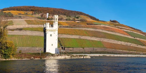 Maeuseturm