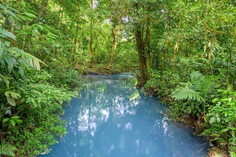 Blue turquoise water of the Rio Celeste caused by sulphur and calcium carbonate