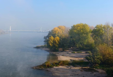 Cologne Rhine bank