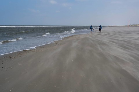Walkers on a long
