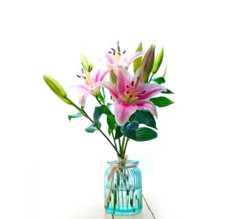 Pink lily flower bunch bouquet over white copyspace