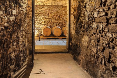 Wine Cellar