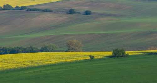 Beautiful and colorful abstract landscape