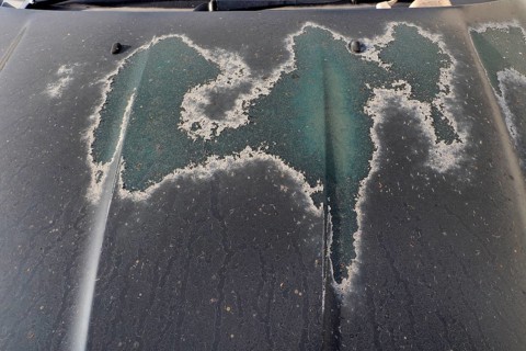 Paint damage due to sun on bonnet