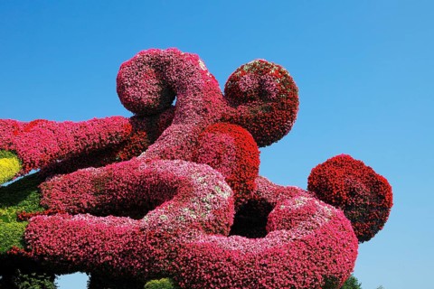 Plant sculpture