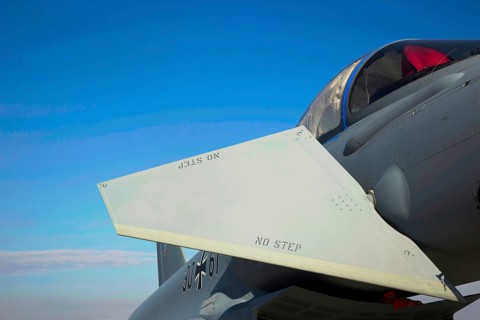 Eurofighter Typhoon with the duck wing